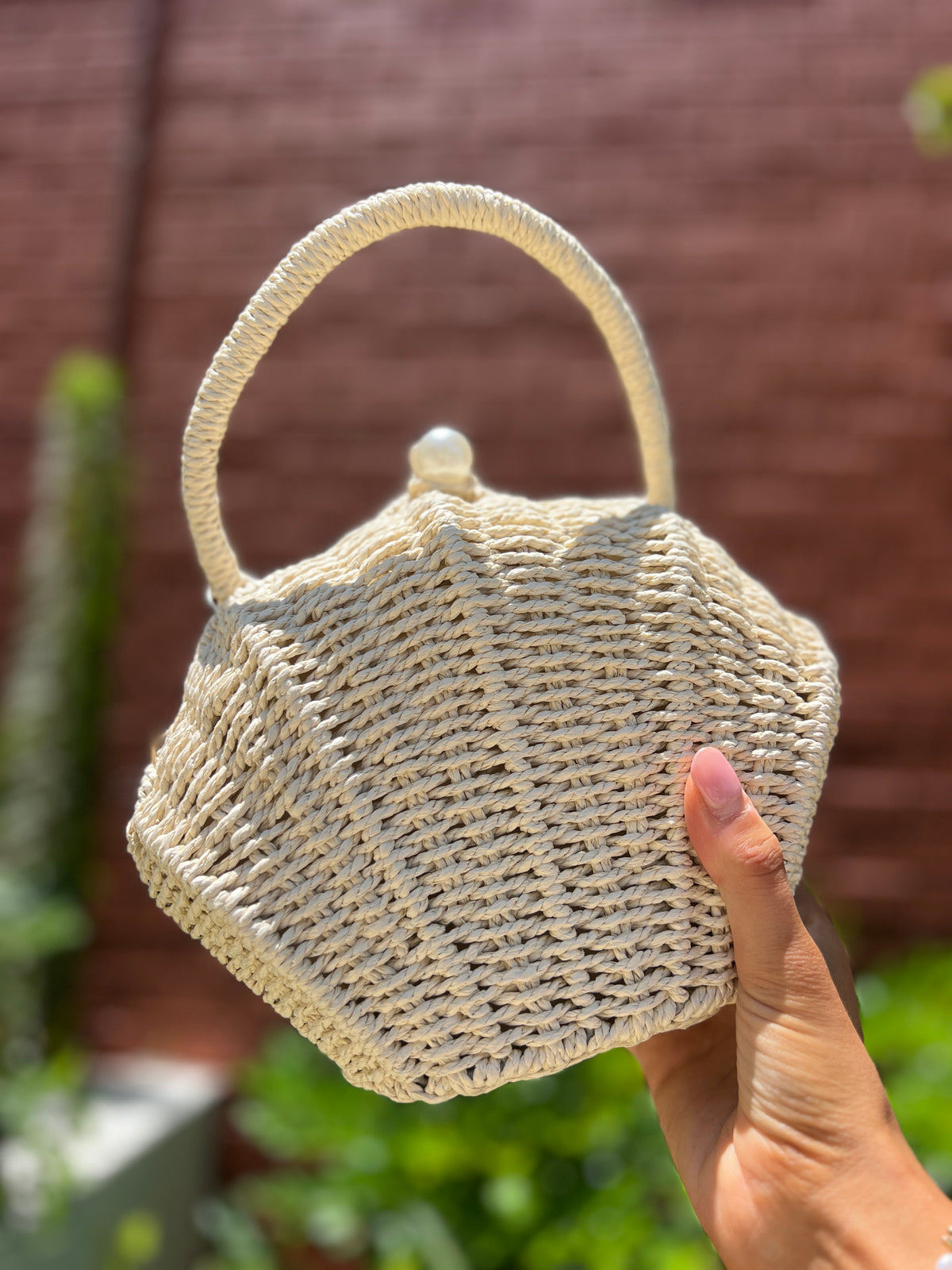 ARIEL BAG