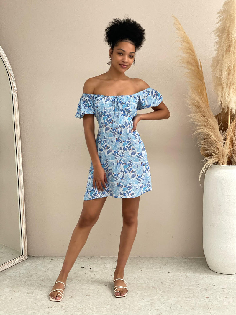 Shanta Dress- Blue Floral