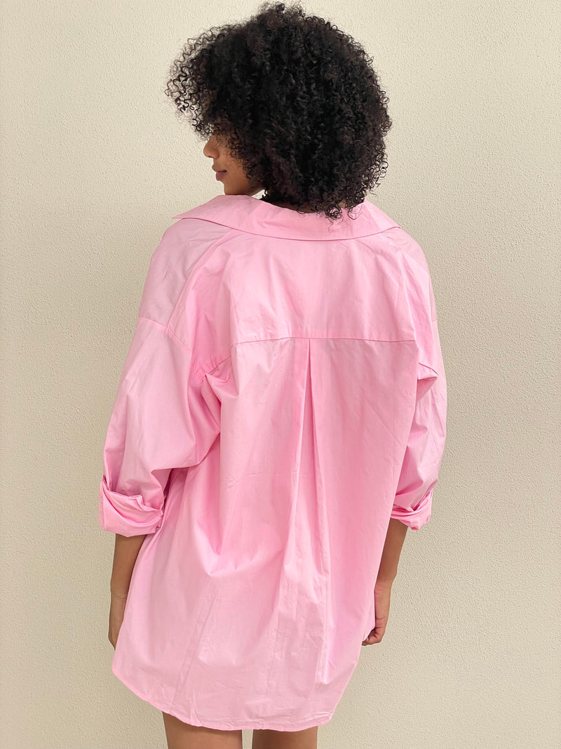 Alexander Top