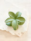 HIBISCUS MATTE FLOWER CLAW  CLIP - GREEN