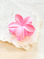 HIBISCUS MATTE FLOWER CLAW  CLIP - PINK